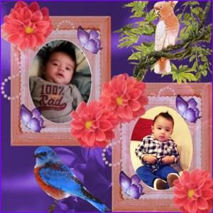 Meet your Posher, Rosi